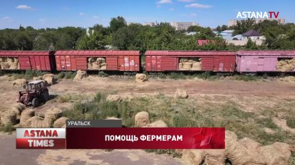 Аграрии Западного Казахстана отправили помощь фермерам Мангистауской области