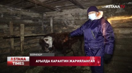 СҚО Бірлік ауылында үй жануарларын жаппай егу жұмыстары басталды