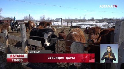 Батысқазақстандық шаруалар субсидия ала алмай жүр