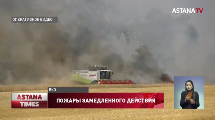Голодная зима угрожает скоту из-за поджогов сена на востоке страны