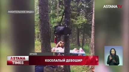 Медведь терроризирует жителей ВКО