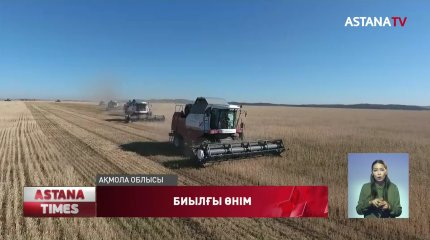 Ақмола облысында шетелден әкелінген астықтың 50 түрі тәжірбиеден өтіп жатыр