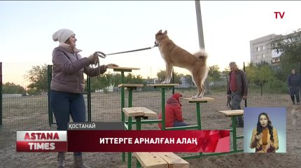 Қостанайда бюджет қаржысына иттерге арналған алаң ашылды