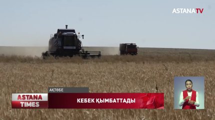 Шаруалар кебек бағасының қымбаттағанына наразы