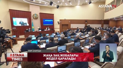 Н.Нығматулин: "Елдегі жағдайды тұрақтандыруға бағытталған жаңа заң жобалары жедел қаралады"