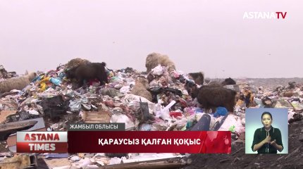 Тараздағы қоқыс полигоны қоршаудан асып, қоршаған ортаға зиянын тигізуде