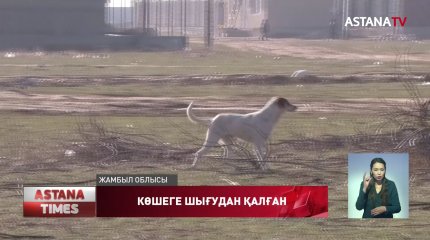 Ауыл тұрғындары көшеге шығуға қорқып отыр