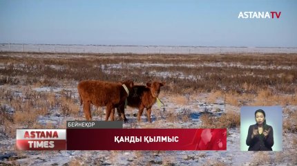 Атырау облысының тұрғыны танысын бауыздап тастаған