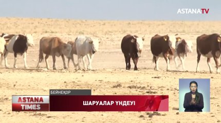 Шаруалар жемнің бағасын 50 тг түсіруді талап етіп, үндеу жолдады