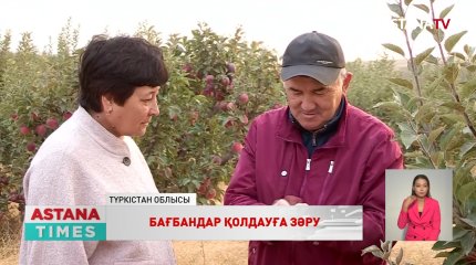 Түркістан облысының кәсіпкерлері қолдау сұрайды