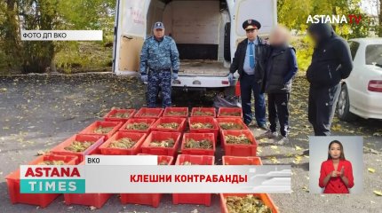 Три года тюрьмы грозит жителю ВКО за контрабанду живых раков