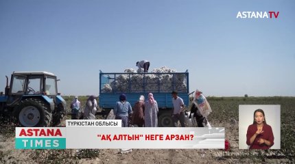 Түркістандық шаруалар биыл да өнімін өткізе алмай шырылдап жүр