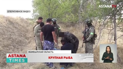 Жителя Шу задержали с 38 килограммами наркотиков