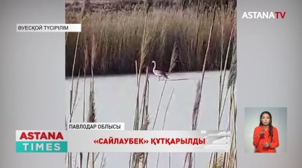 Екібастұзда «Сайлаубек» құтқарылды