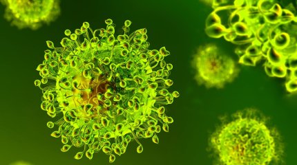 ЖРВИ асқынуы түсікке әкелуі мүмкін