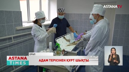 "Маса мен бүрге арқылы жұғады",- санитар-дәрігер