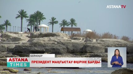 "Итбалықтар мен балықтардың жаппай қырылуына адам факторы әсер етіп отыр",-Президент
