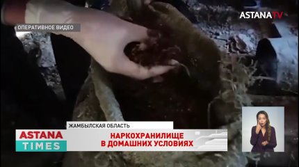 Крупное хранилище марихуаны обнаружили на чердаке у жителя Жамбылской области
