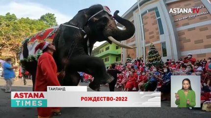 Десятки стран готовятся отметить католическое Рождество