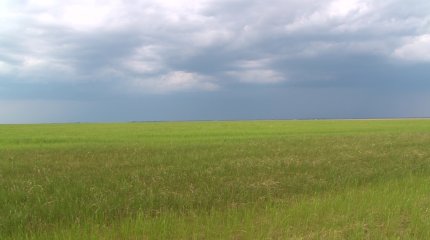 5,2 миллионов гектаров незаконно используемых земель вернули в госрезерв