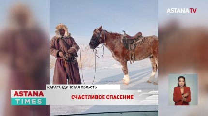 Карагандинский чабан остался жив после холодной ночи в степи