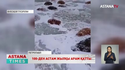 Қызылжар өңірінде 100-ден астам жылқы суға батып кетті