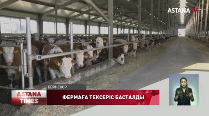 Ақсудағы аты шулы сүт фермасына тексеру басталды