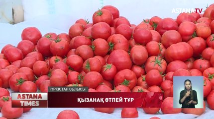 Түркістандық шаруалар жылыжайда піскен қызанақты сата алмай отыр