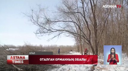 Оралда орман отағандар азаяр емес