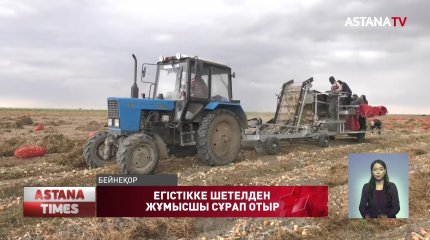 Атыраудағы егіс алқабына жұмыс күші жетіспейді