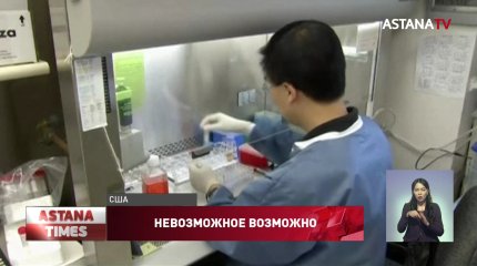Американка излечилась от ВИЧ после пересадки стволовых клеток и переливания пуповинной крови