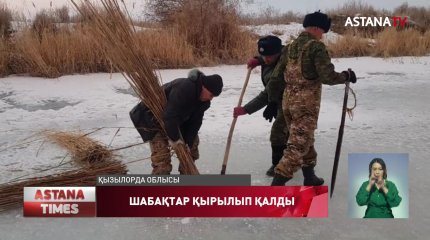 Қызылордада балық шабақтары қырылып қалды