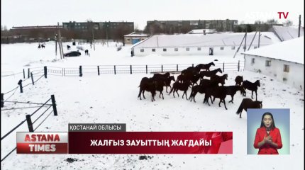 Қостанай жылқы зауытына қатысты мәселе шешіле ме?