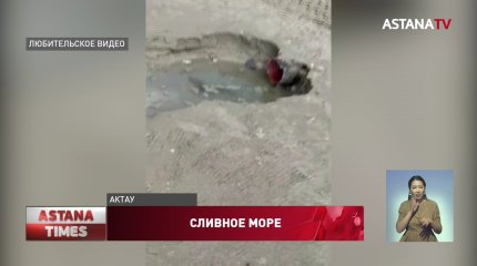 Фешенебельный отель в Актау нарушил экологический кодекс, - экоактивисты