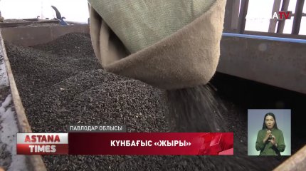 Павлодарда диқандар майлы дақылдарда экспортқа шығара алмай отыр