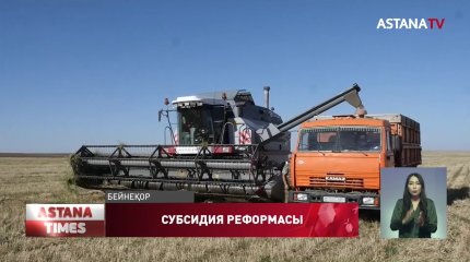 Субсидия саласын реформалау келер жылға қалды