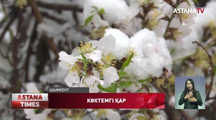 Шымкентке қайта қыс келді