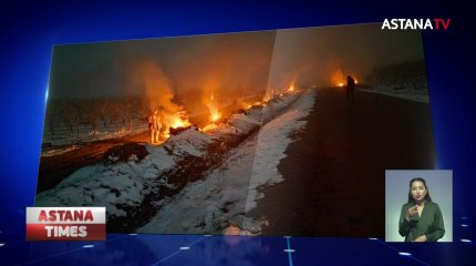 Фермеры Шымкента жгут костры ночами, чтобы спасти плодовые деревья
