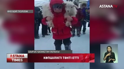 Лақты 33 рет көтерген бала көпшілікті тәнті етті