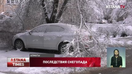 Снегопад в Алматы: упавшие деревья повредили 44 авто