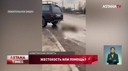 Задержан алматинец, который протащил по улицам труп собаки