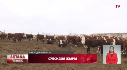 Павлодарда шаруалар техника сатып алуға арналған субсидияға қол жеткізе алмай жүр