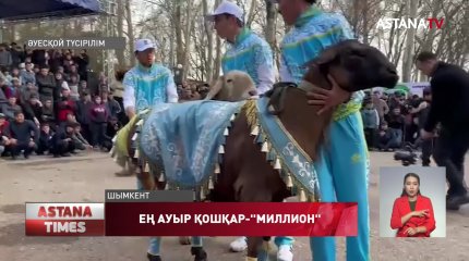 Түркістан облысында ең ауыр салмақтағы қой иесі 10 АҚШ долларын жеңіп алды