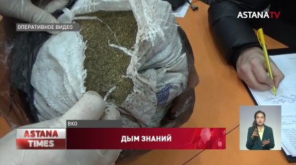 Наркотики нашли в кабинете курсов английского языка в Семее