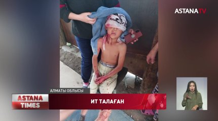 Алматы облысында оқушыны ит талаған