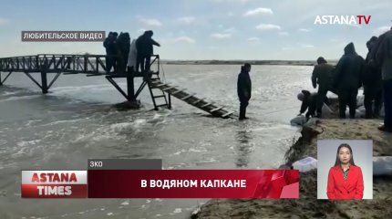 Еще 762 человека эвакуировали из затопленных домов в ЗКО