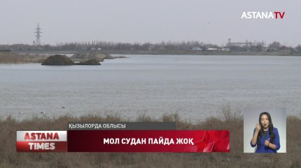 Сырдариядағы мол судың егінге көмегі болмай тұр