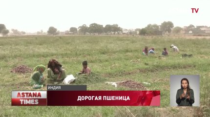 Аномальная жара приведет к плохим урожаям в ряде стран, - эксперт