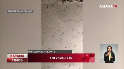 Нашествие комаров: павлодарцы взялись за самодельные огнемёты
