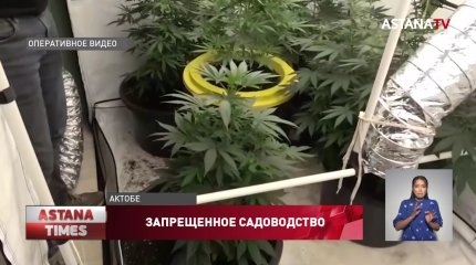 Актюбинец переоборудовал собственную дачу под нарколабораторию